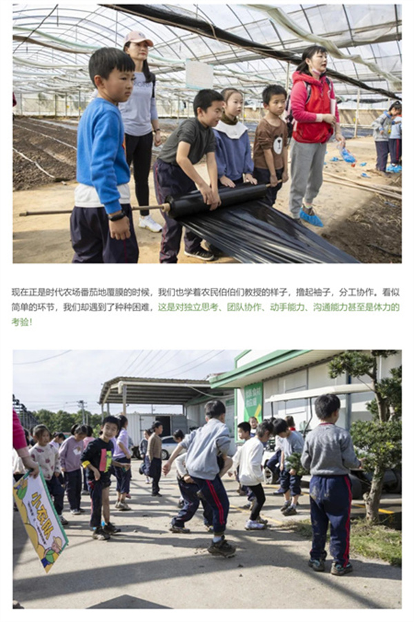 一碗炒飯，一日農(nóng)民，一種感恩。(圖6)
